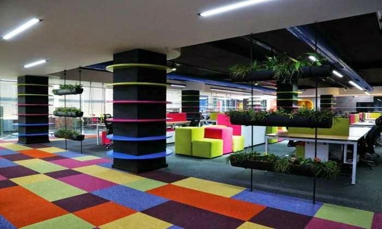 Floor and wall Furnishing
