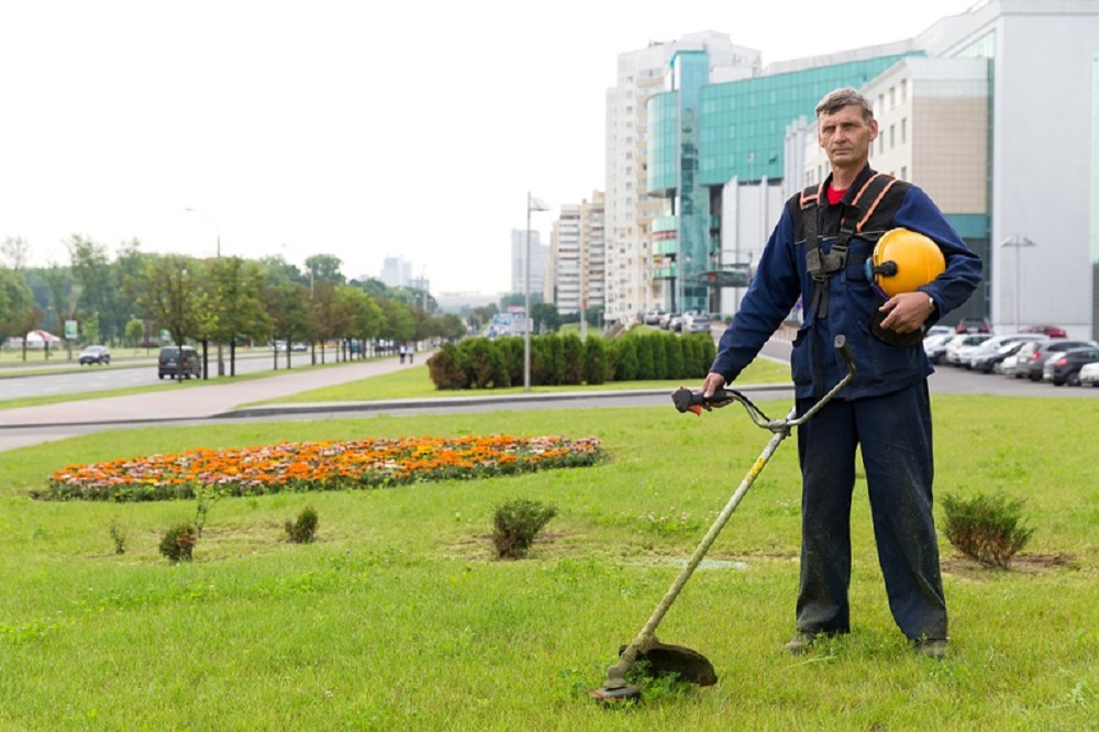 Advantages and Disadvantages of Landscaping in Office Spaces