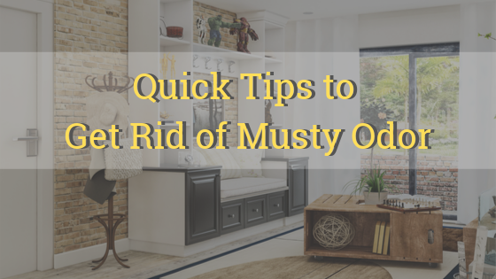 Quick Tips to Get Rid of Musty Odor