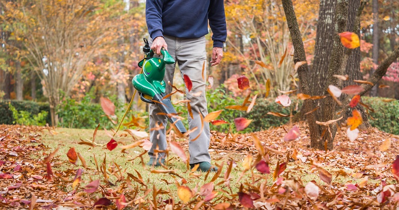 Buying Guide for the Perfect Leaf Blower