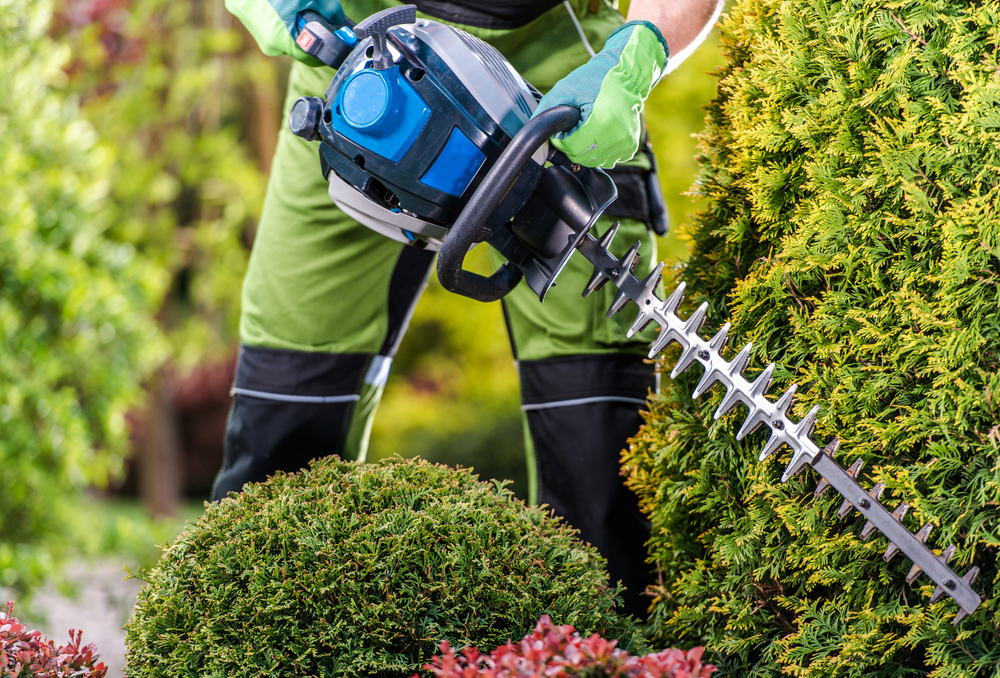 Effective Use Of Hedge Trimmers: Upgrade Your Gardening Skills
