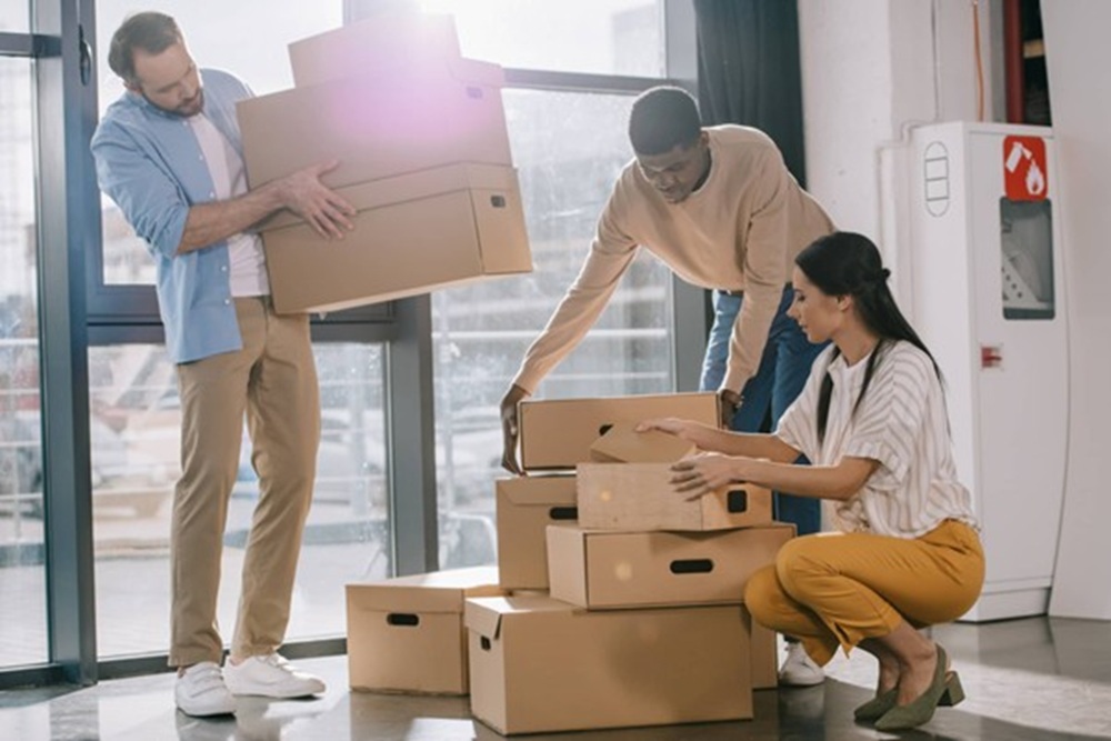 Pro Tips and Tricks for Working Successfully with Removalists