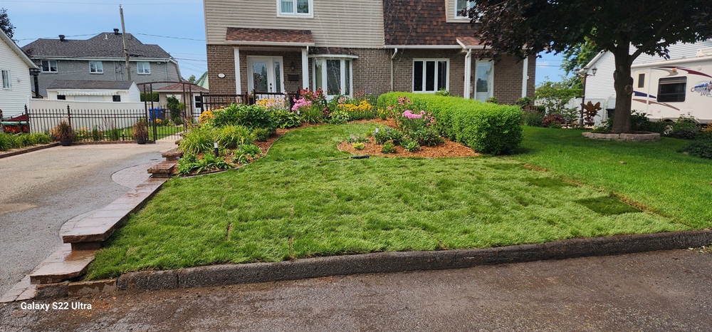 From Bare Lawn to Finished Curb Appeal: A Front Yard Makeover That Actually Works